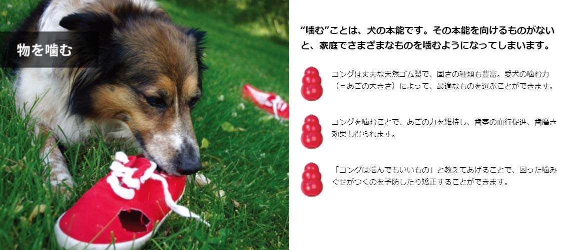 パピー様 IPFオフィシャルECショップ / ハロゲンバルブ スーパーJビーム 6500K